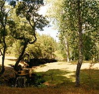 Oldina Picnic Area - Australian Destinations