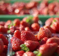 Turners Beach Berry Patch - Australian Destinations