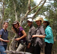 Echidna Walkabout Nature Tours - Australian Destinations