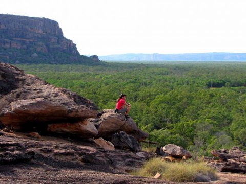 Echidna Walkabout Nature Tours - Australian Destinations 21