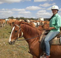 Myella Farm Stay Tours - Australian Destinations