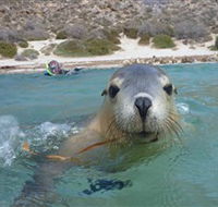 Calypso Star Charters - Australian Destinations