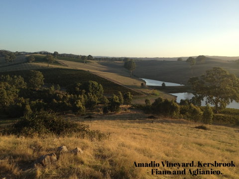 La Prova Wines - Australian Destinations 3