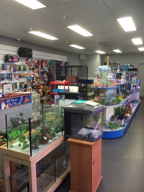 Nambour Pet Shop - Australian Destinations 0