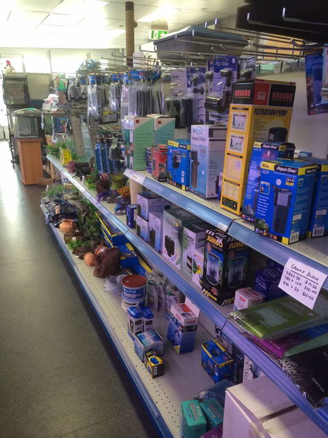 Nambour Pet Shop - Australian Destinations 2