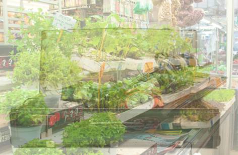 Warrawong Markets - Australian Destinations 2