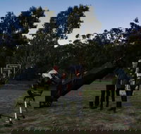 Stargazing Busselton with Mobile Observatory - Australian Destinations