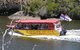 Kalgan Queen Scenic Cruises A Four Hour Sheltered Water Wildlife Tour Daily Fun. - thumb 0