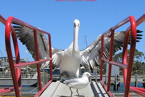 Kalgan Queen Scenic Cruises A Four Hour Sheltered Water Wildlife Tour Daily Fun. - Australian Destinations 4