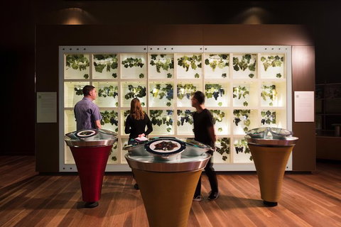 Australian Wine Discovery Tour Ticket - Australian Destinations 5