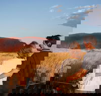 Uluru Ayers Rock Sunset with Outback Barbecue Dinner and Star Tour - Australian Destinations
