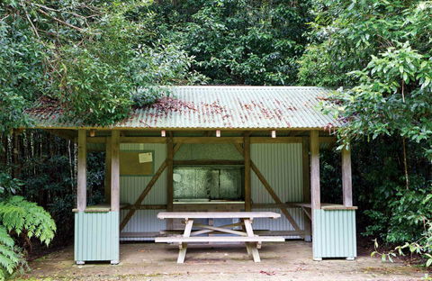 Coachwood Picnic Area - Australian Destinations 0