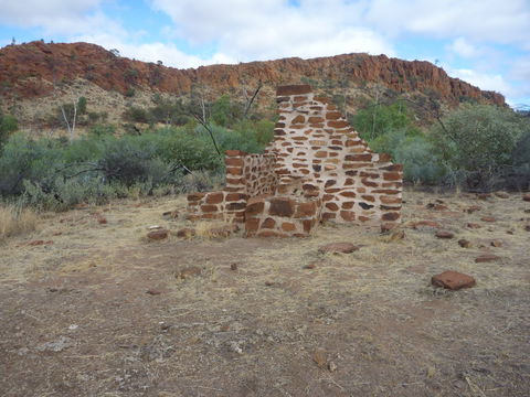 Illamurta Springs Conservation Reserve - Australian Destinations 1