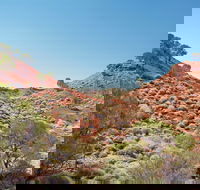 Lark Quarry Conservation Park - Australian Destinations