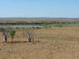 Book King River WA Attractions Australian Destinations Australian Destinations