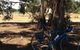 Murchison Rail Trail - thumb 0