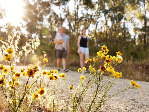 Nail Can Hill - Australian Destinations 0