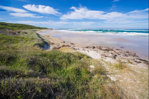 Racecourse Beach: Bawley Point - Australian Destinations 0