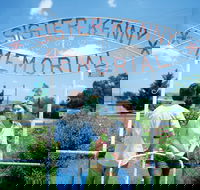 Sister Kenny Memorial Nobby - Australian Destinations