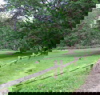 St Albans Reserve - Australian Destinations