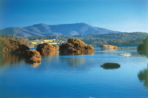 Wagonga Picnic Area - Australian Destinations 0
