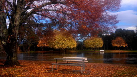 Bells Parade Reserve - Australian Destinations 0