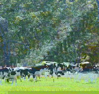 Boyanup - Australian Destinations