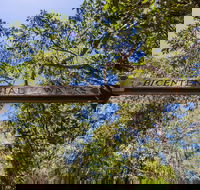Bribie Island Bicentennial Trails - Australian Destinations