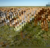 Gulf Region - Australian Destinations
