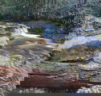 Liffey Falls Reserve - Australian Destinations