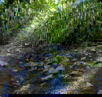 Nambucca Valley - Australian Destinations