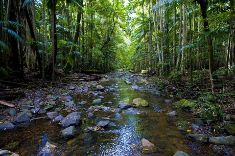 Nambucca Valley - Australian Destinations 0