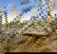 Wandoan - Australian Destinations