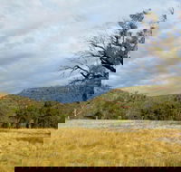 Weddin Mountains National Park - Australian Destinations