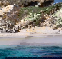 Australian Sea Lions - Australian Destinations