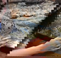 Canberra Reptile Zoo - Australian Destinations