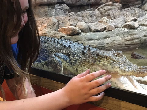 Canberra Reptile Zoo - Australian Destinations 0