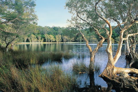 Cooloola, Great Sandy National Park - Australian Destinations 1