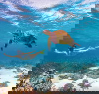Coral Bay