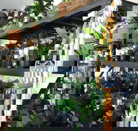 Fancy Plants - Australian Destinations