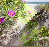 Fort Bribie - Australian Destinations