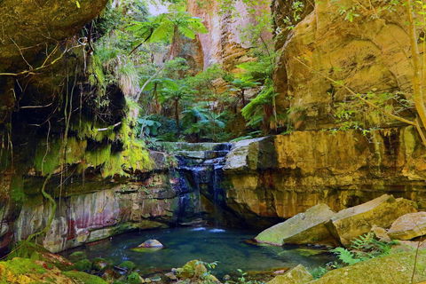 Glimpse Of The Outback 5 Day Tour - Roma And Surrounds - Australian Destinations 0