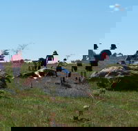 Jim Salmon  Wetland Education Site - Australian Destinations