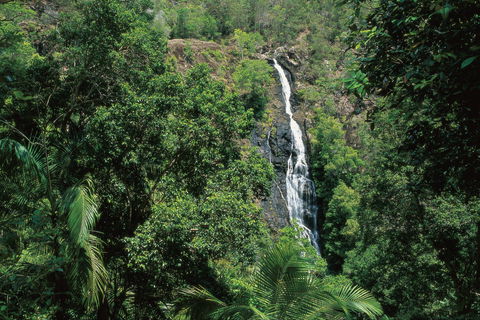 Mapleton Falls National Park - Australian Destinations 0