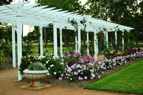 Newtown Park State Rose Garden - Australian Destinations 1