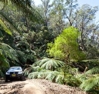 Wadbilliga Road drive - Australian Destinations