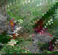 Binna Burra Lamington National Park