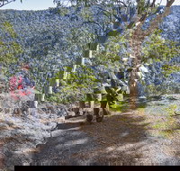 Caves circuit Lamington National Park - Australian Destinations