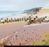 Coast to Vines Rail Trail - Australian Destinations