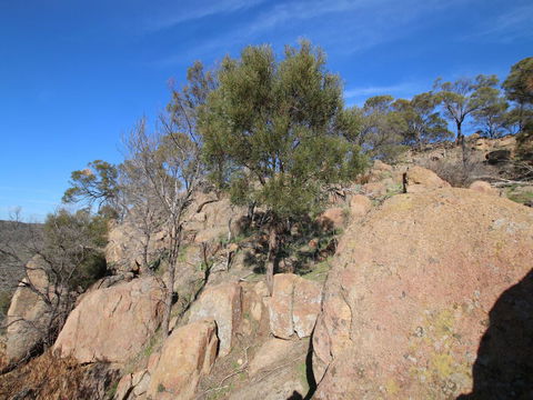 Eldorado And The Woolshed Valley - Australian Destinations 2